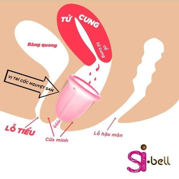 Đặt cốc nguyệt san không đúng là 1 trong số nguyên nhân dẫn đến bị rò rỉ Đặt cốc nguyệt san không đúng là 1 trong số nguyên nhân dẫn đến bị rò rỉ