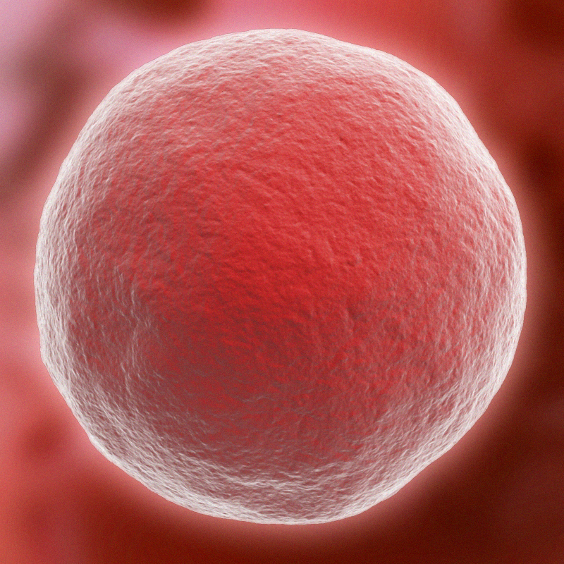 Dấu hiệu RỤNG TRỨNG kéo dài trong bao lâu