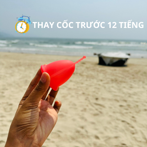Thay cốc nguyệt san Sibell trước 12 tiếng và hẹn giờ thay cốc Thay cốc nguyệt san Sibell trước 12 tiếng và hẹn giờ thay cốc
