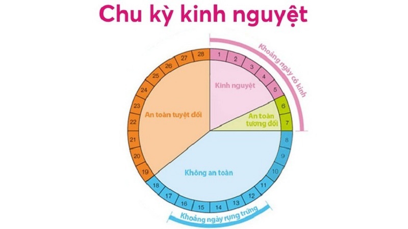 Hiện tượng kinh nguyệt là gì? Chu kỳ kinh nguyệt là sự thay đổi về mặt sinh lý định kỳ của nữ giới